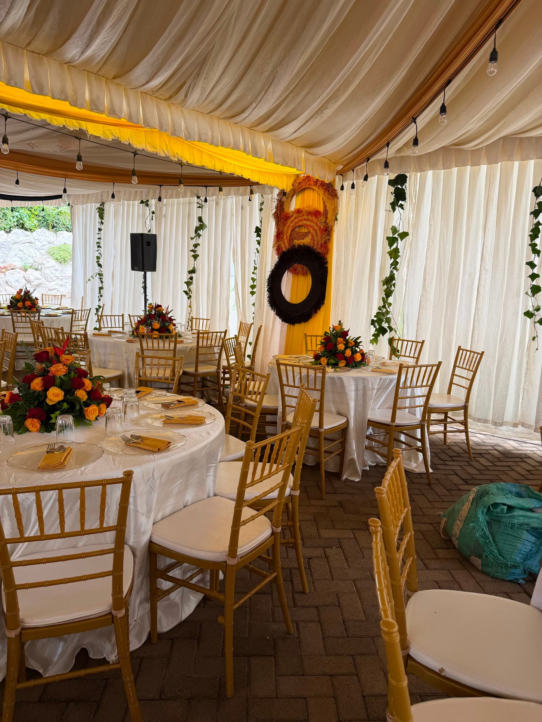 Ivy garlands trailing down cream drapes beside tables set with gold chiavari chairs