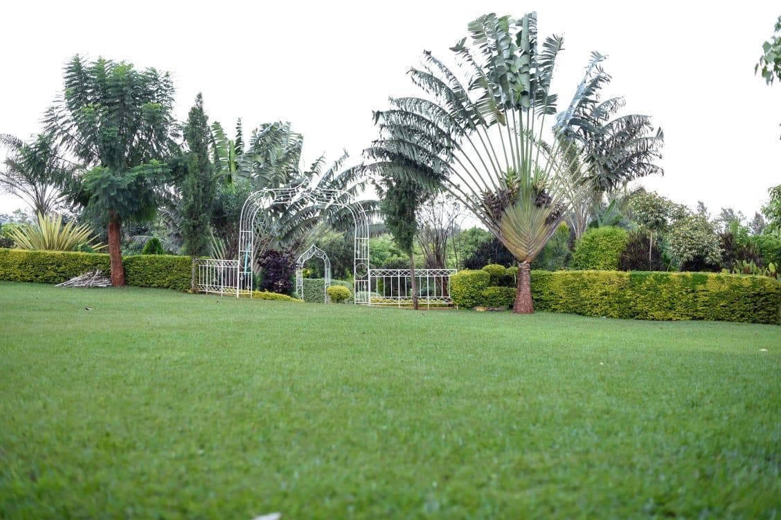 Ebony Gardens